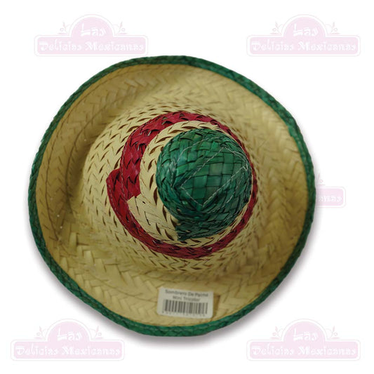 Sombrero De Palma Mediano Tricolor