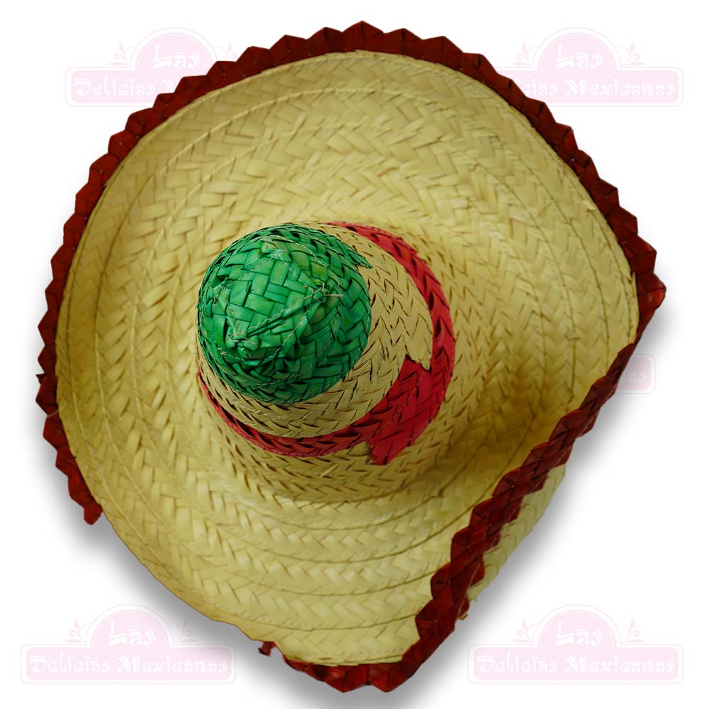 Sombrero De Palma Grande Tricolor